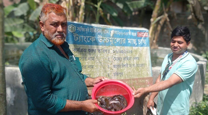 পার্বতীপুরে ট্যাংকে মাছ চাষ করে স্বাবলম্বী গ্রামের মানুষ